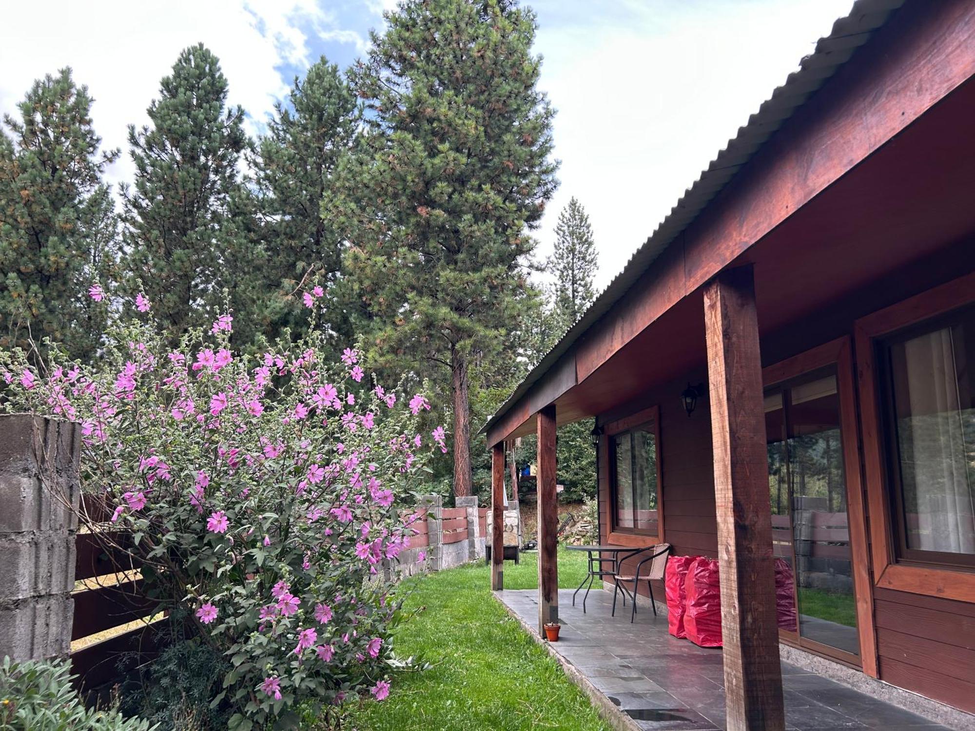 Cabanas Patagonia Kooch Coyhaique Extérieur photo